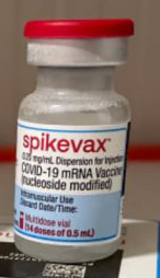 mycollages-32-800x445